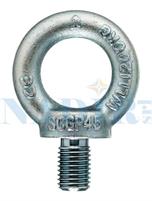 GOLFARE MASCHIO DIN 580 ACCIAIO C15 M12