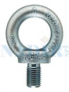 GOLFARE MASCHIO DIN 580 ACCIAIO C15 M20