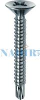 VITI AUTOPERFORANTI TPS PH2 ø3.9X50