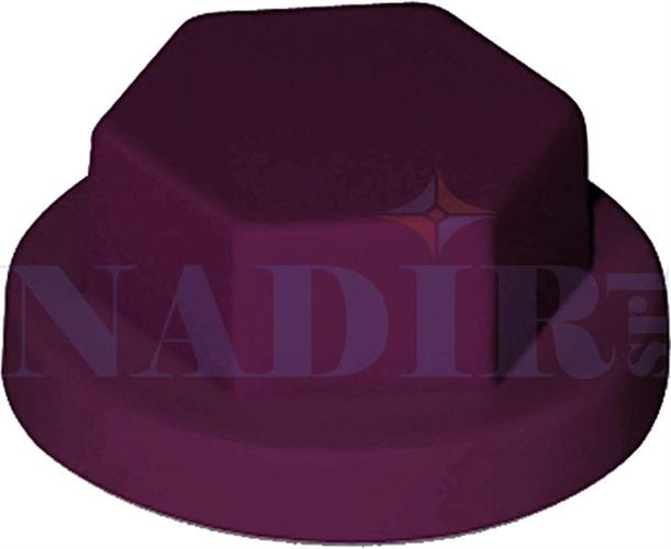 CAPPUCCIO VITI TE CHIAVE 10 ROSSO SIENA RAL 3009 CF.200PZ