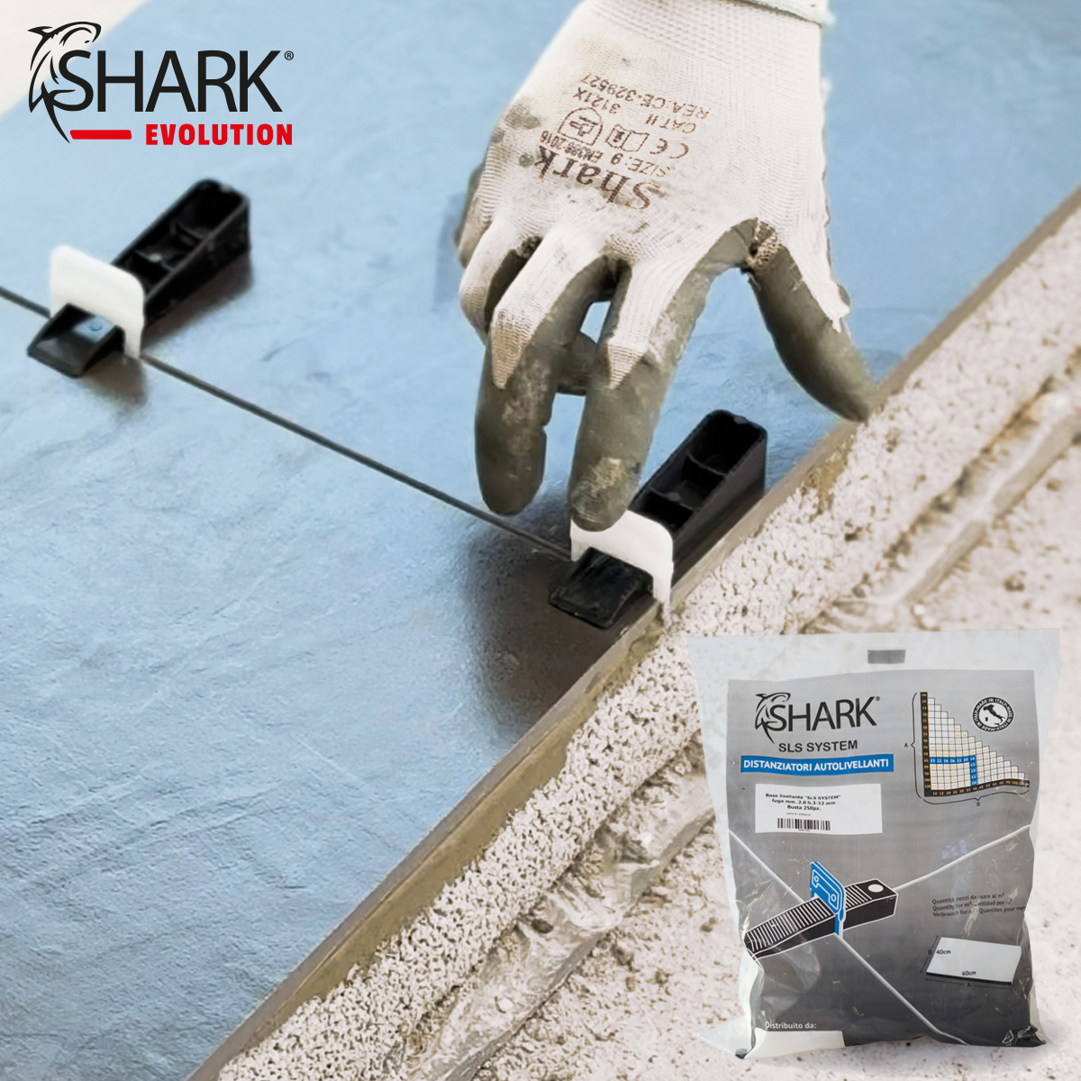 imglivellantishark_1